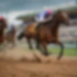 Gulfstream Park racecourse with horses in action