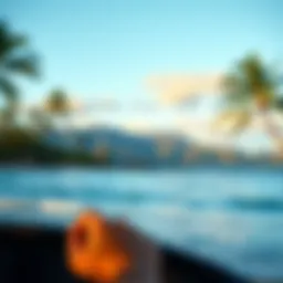 A scenic view of a tropical beach in Hawaii with a distant outline of the mountains